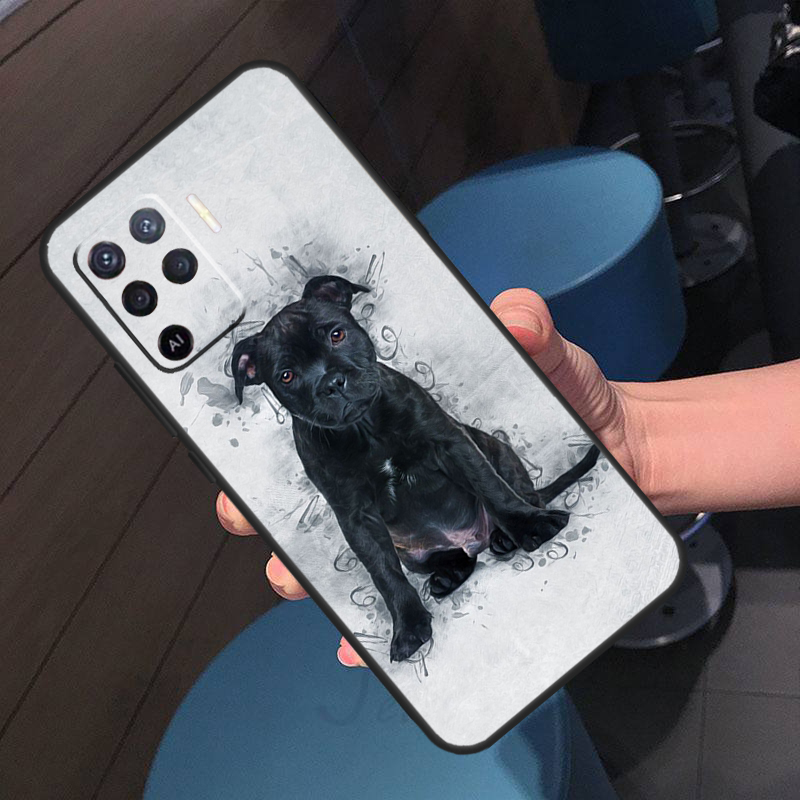 Staffordshire Bull Terrier Dog - Oppo A78 review and price